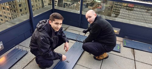 professional-pigeon-removal