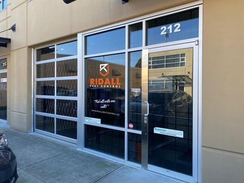 pest-control-service-provider-in-North Vancouver