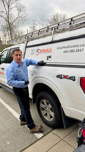 ridall-pest-control-cockroach-service