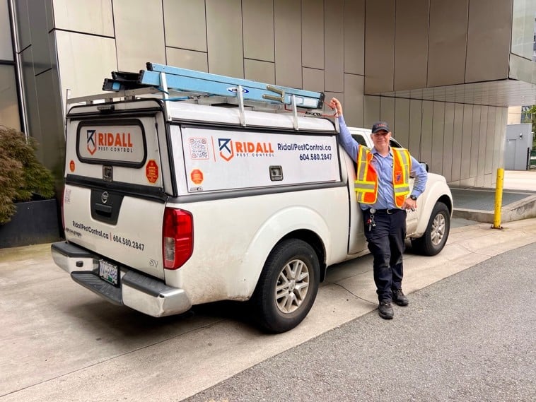 wasp-pest-control-near-me