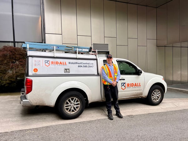 ridall-pest-control-birds-control