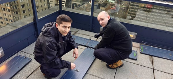 ridall-pest-control-birds-in-vancouver_600x273