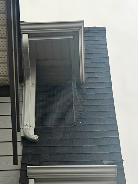 bird-control-services-near-me