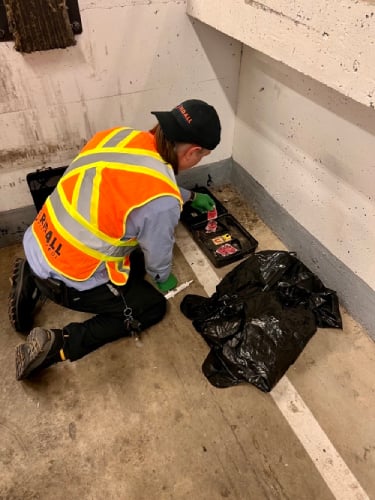 get-rid-of-rats-in-a-garage