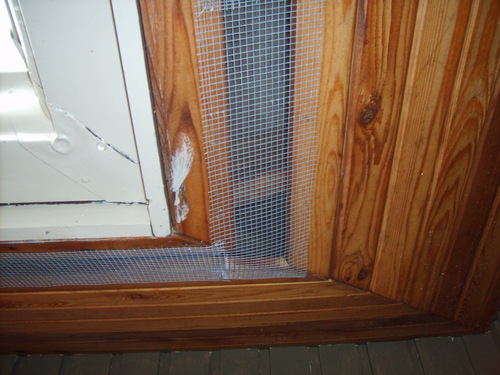 residential-pest-control-services