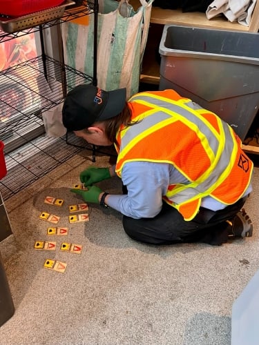 rodent-infestation-cleanup