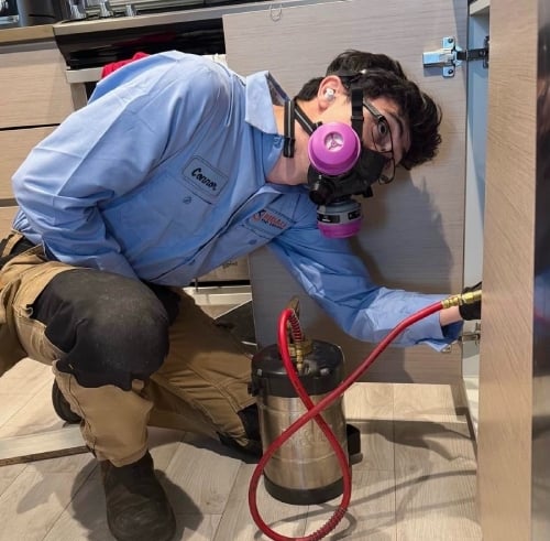 Ant-control-exterminators