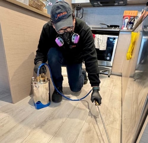 Ant-control-services