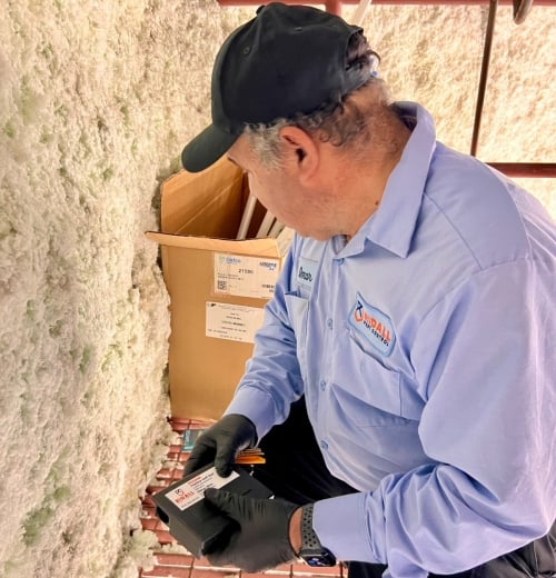 Attic-inspection-for-rodents