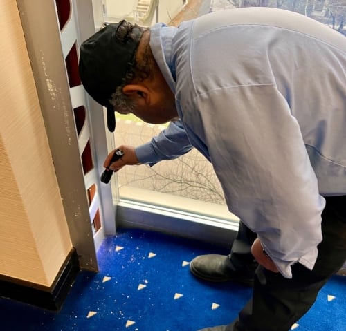 Pest-control-for-mice