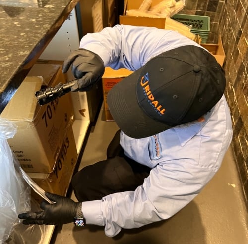 Pest-control-inspection-checklist