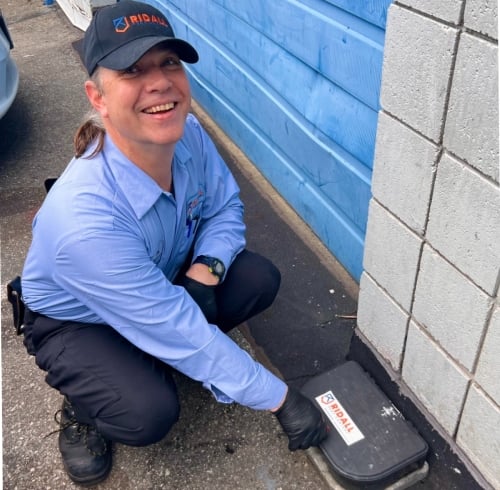 Pest-inspection-near-me