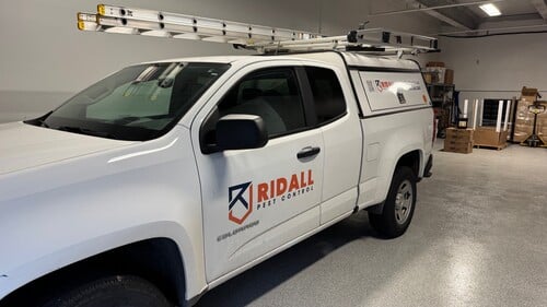 pest-control-near-me-for-ants