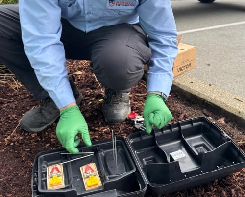 pest-control-service-provider-in-Delta