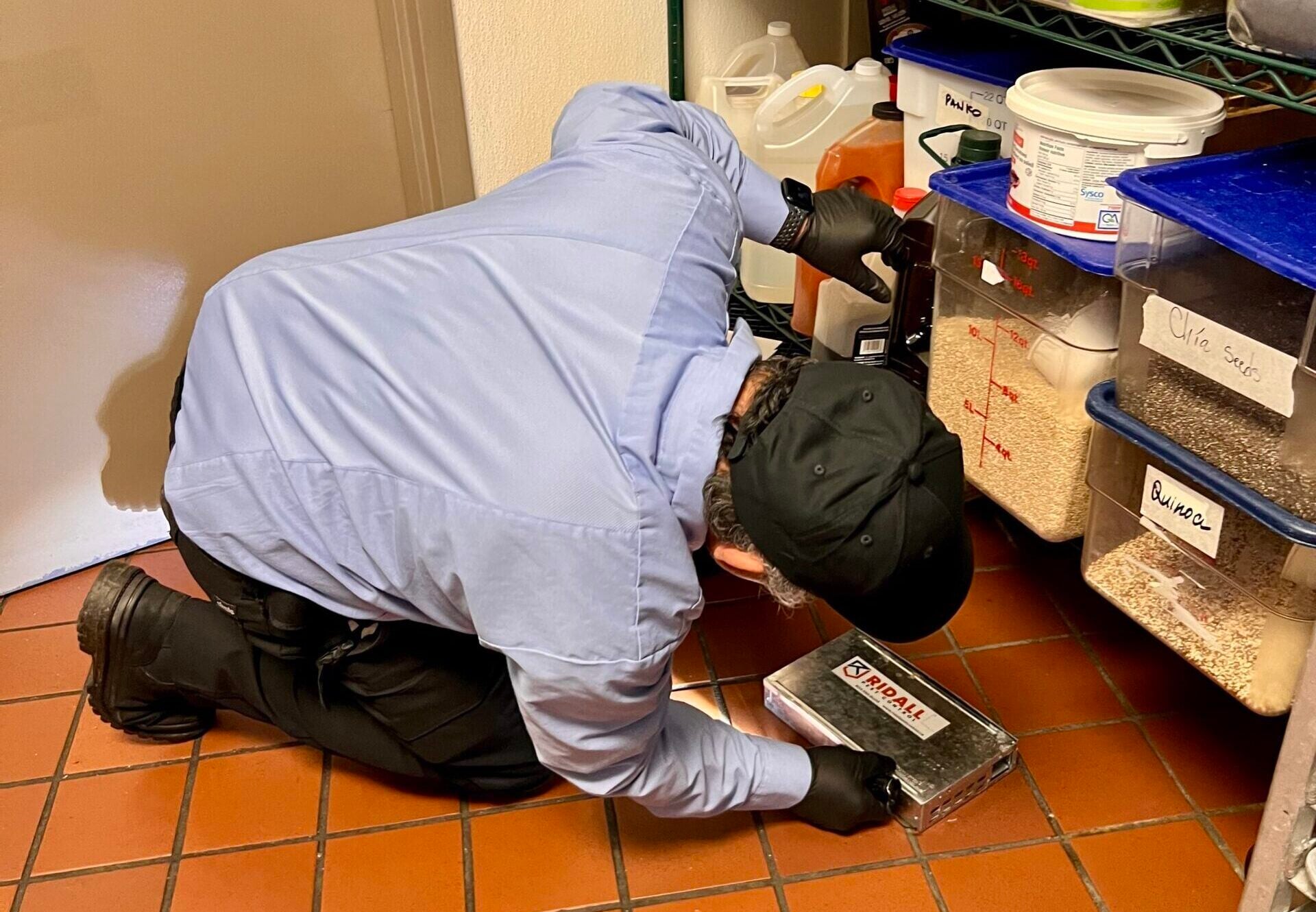 holiday-pest-control