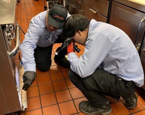 pest-control-service-provider-in-Coquitlam.