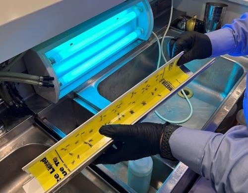 retaurant-pest-control